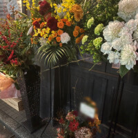 (火)お休みです🙏