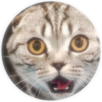  私には出来ないこと