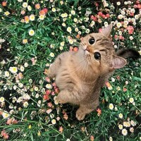 これから出勤します