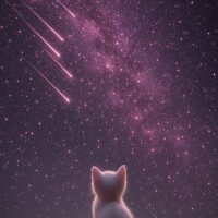 お疲れ様でした🌃