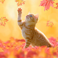 🍀おはようございます🍀