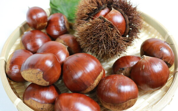 🍀出勤しました🍀