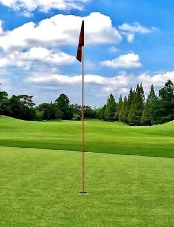 ✨🪷土曜日🪷✨