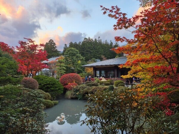 ✨🪷お洗濯日和🪷✨