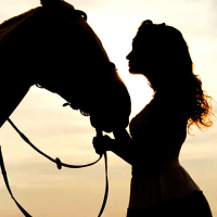 9日㈰夕方と10日㈪の午後です