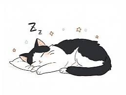 (っ˘꒳˘ｃ)ｽﾔｧ