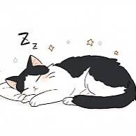 (っ˘꒳˘ｃ)ｽﾔｧ