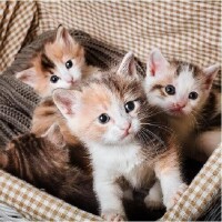 🍀おはようございます🍀