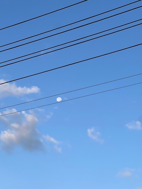 おはようございます☀️