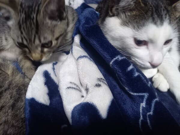 おはようございます🌥️