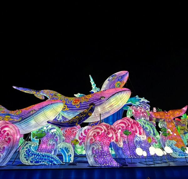 失敗しちゃった？