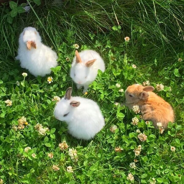 まったりの一日☕️