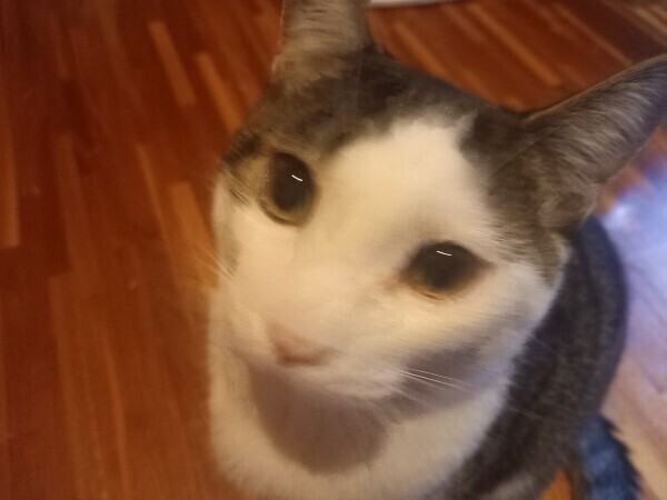 帰宅🏠️🚗💨