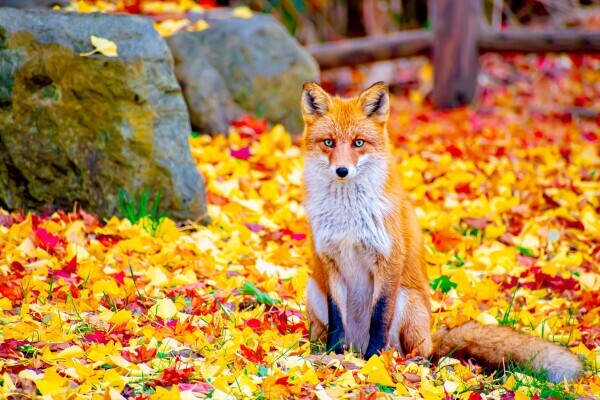 🍀おはようございます🍀