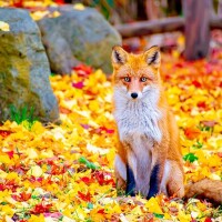 🍀おはようございます🍀