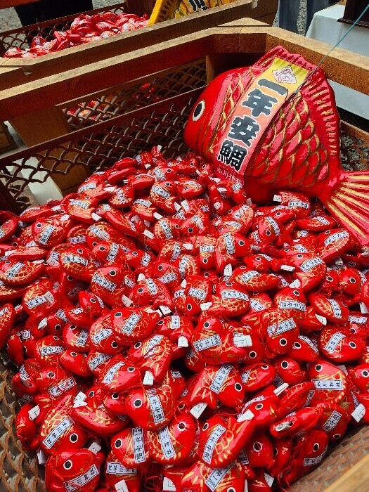 ✨🪷土曜日🪷✨