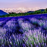 ちょっと季節外れなんですが…