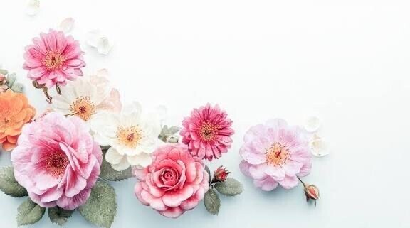 ありがとうございました♥️