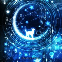 お疲れ様でした🌃