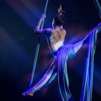 画像とは違うけど