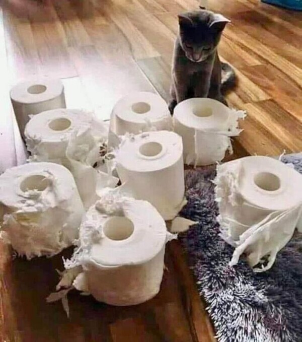 お休み1日目☁️