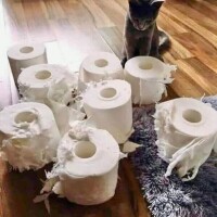 お休み1日目☁️