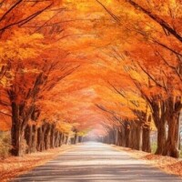 🍁おはようございます🍁