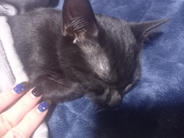 お休み2日目🌥️