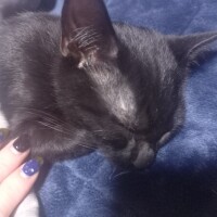 お休み2日目🌥️