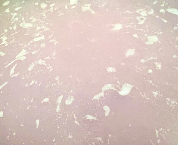 これは何でしょう(　˙▿˙　)☝