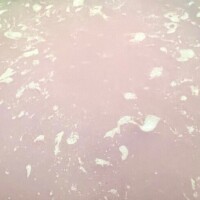 これは何でしょう(　˙▿˙　)☝