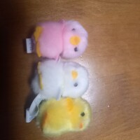 ぴよりーな🐤
