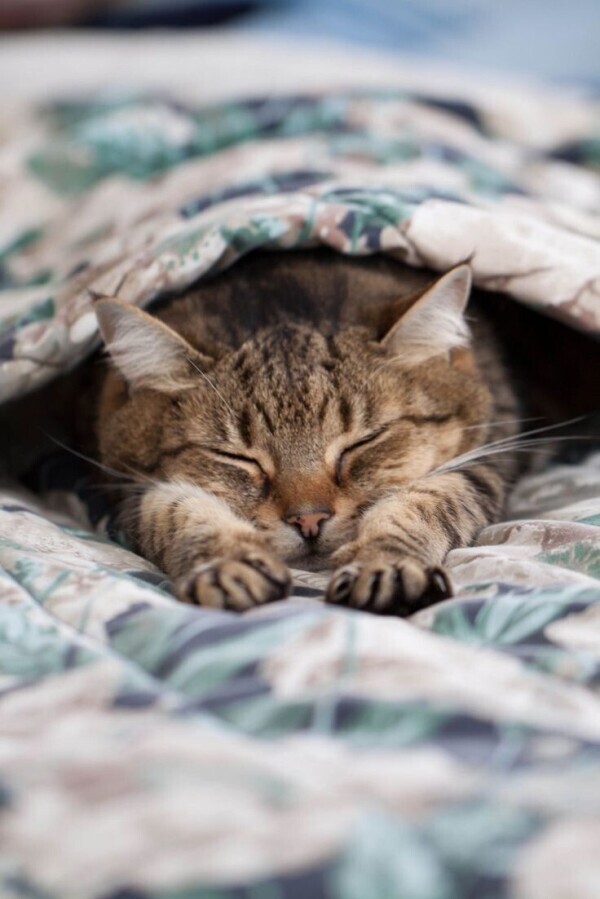 ありがとうございました✨