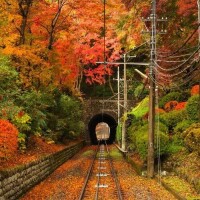 🍁🍁おはようございます🍁🍁