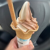 🍦Ⅱ