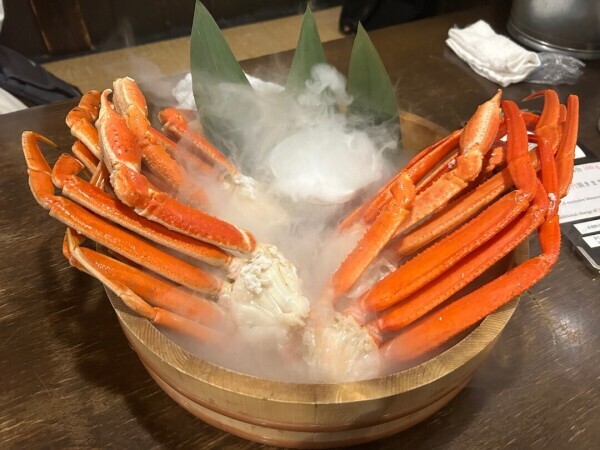 おやすみなさい