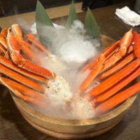 おやすみなさい