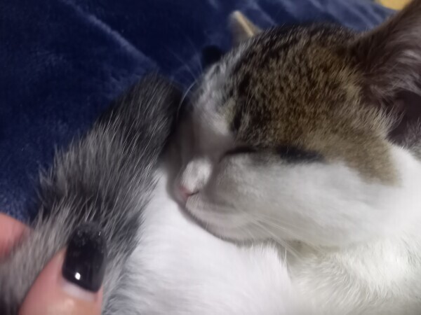 あやすみなさい😴