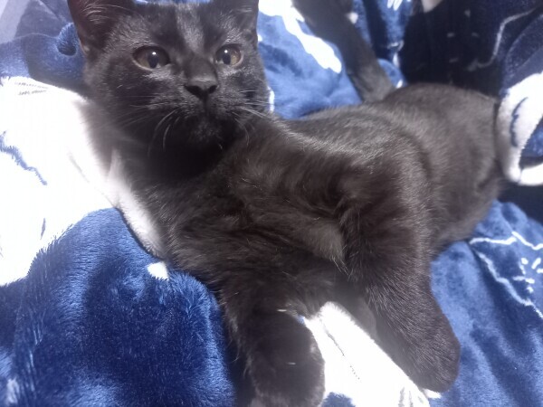 おはようございます☀️