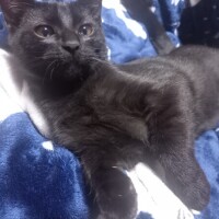 おはようございます☀️