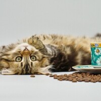 🍁🍁🍁今日は遅くまでお待ちしております🍁🍁🍁