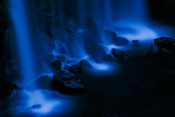 ⭐️⭐️本日もありがとうございました⭐️⭐️