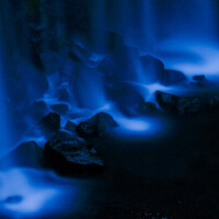 ⭐️⭐️本日もありがとうございました⭐️⭐️