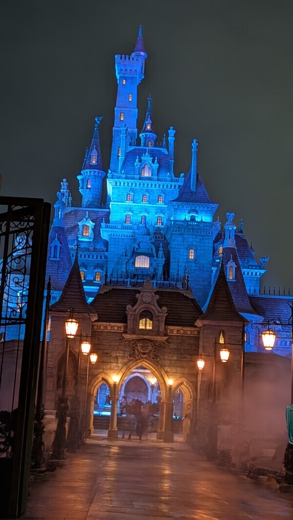 ありがとうございました🏰💭