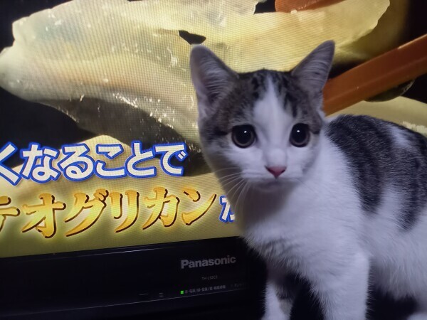 帰宅🏠️🚗💨