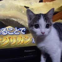 帰宅🏠️🚗💨