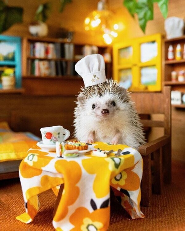 🍁🍁おはようございます🍁🍁