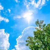 🍀出勤しました🍀