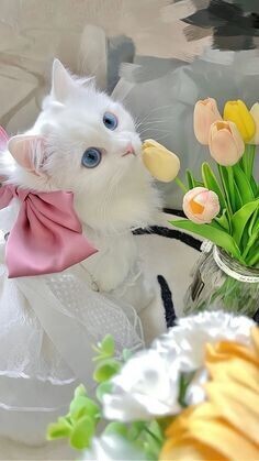 おはようございます☀️