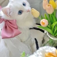 おはようございます☀️